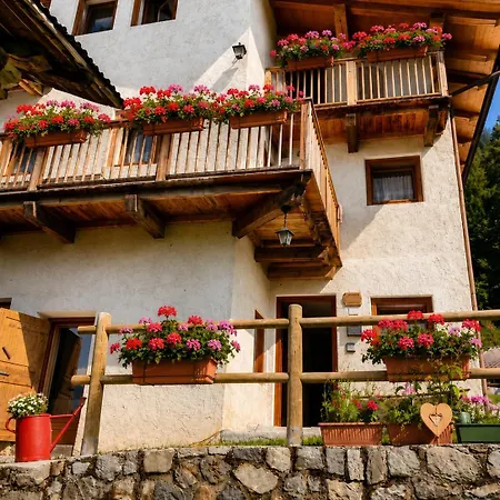 Maso Pallabazzer -